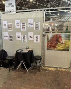 571350854_1129953169333889_1488092938349357410_n